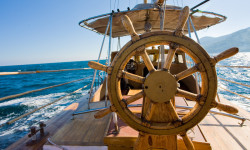 Etiam commodo convallis